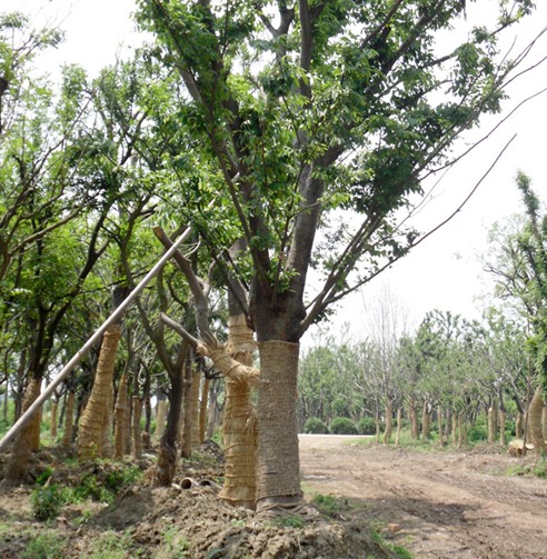 鹽城耐熱鋼配件都有哪些組成