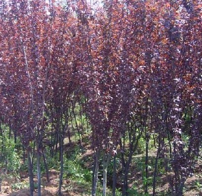 山東304不銹鋼配件